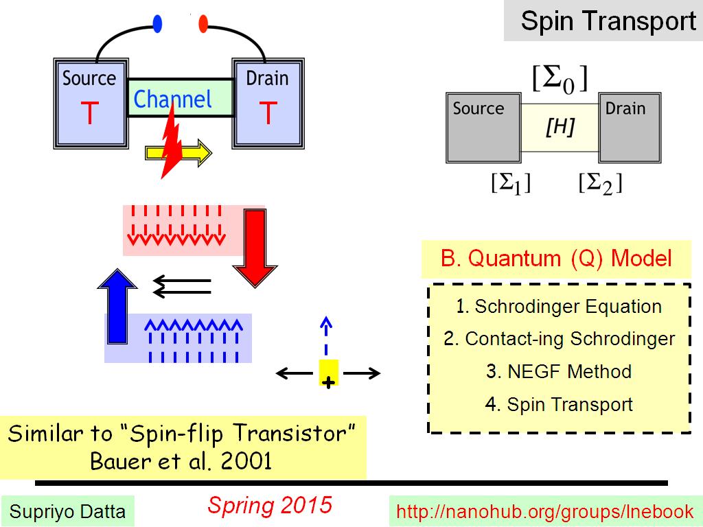 Spin Transport