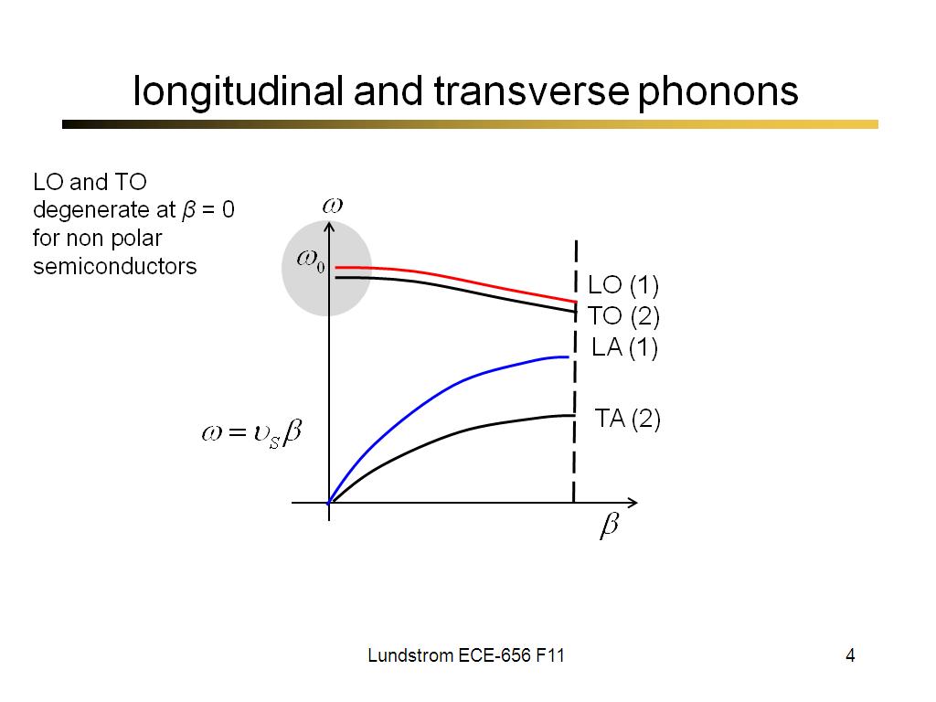 longitudinal and transverse phonons