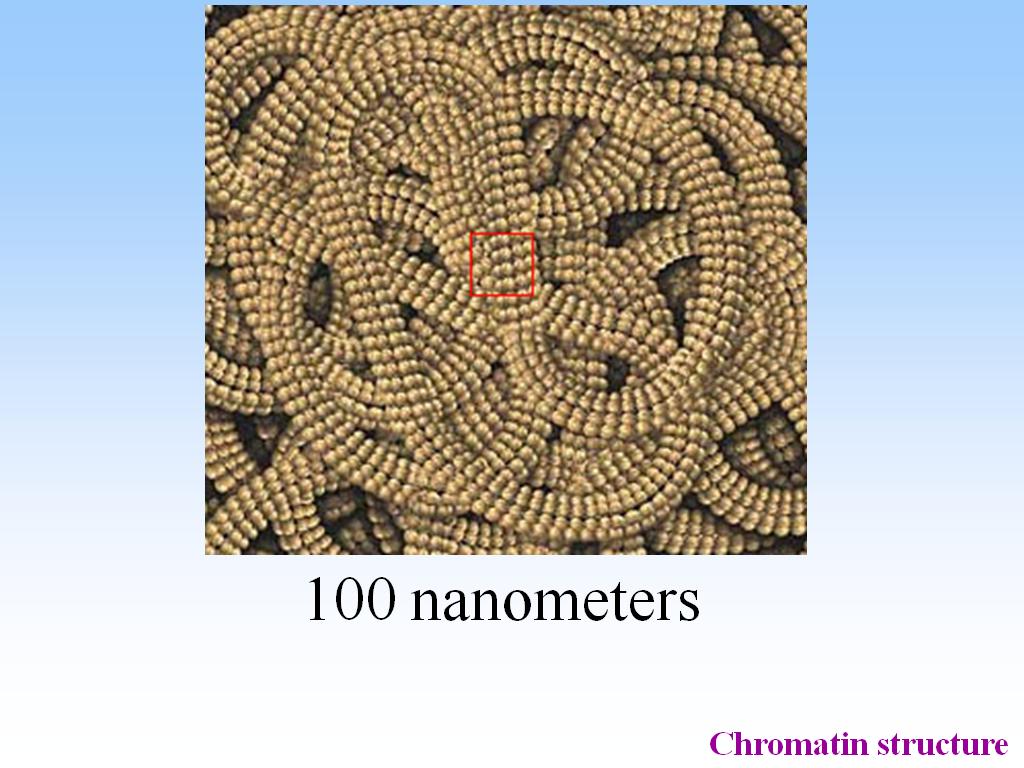 100 nanometers