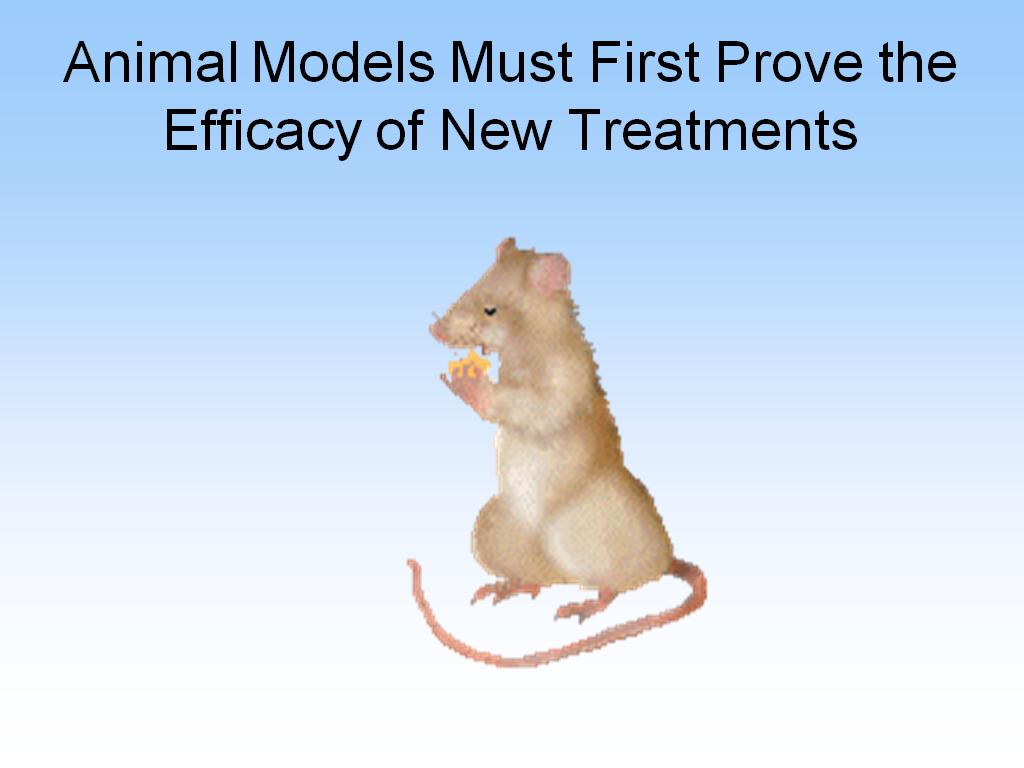 Animal Models Must First Prove the Efficacy of New Treatments
