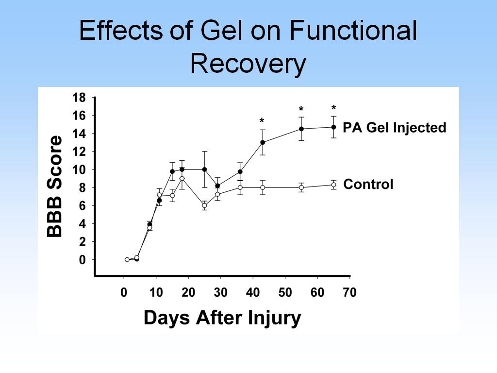 Effects of Gel on Functional Recovery