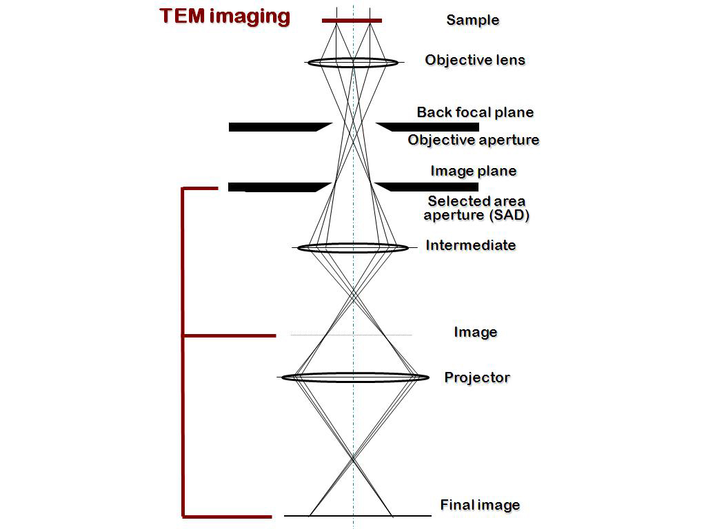 TEM imaging