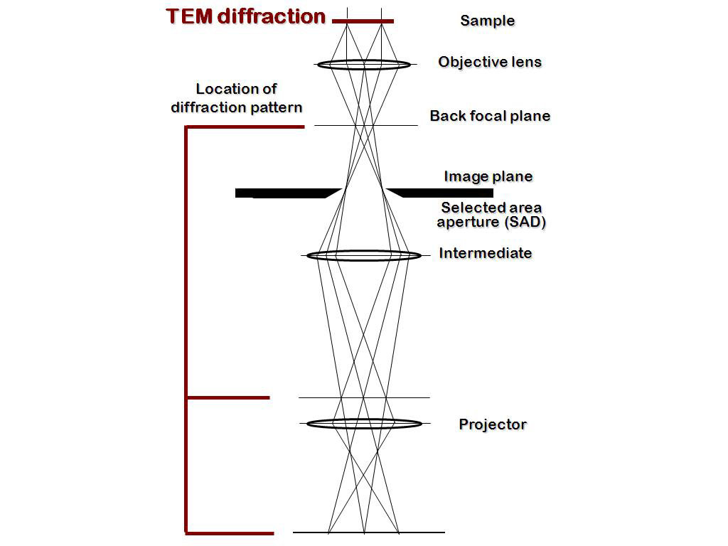 TEM diffraction