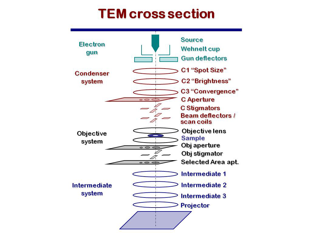 TEM cross section