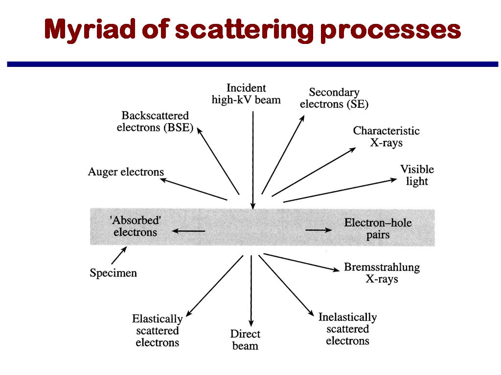 Myriad of scattering processes