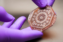 nanoHUB-U: Biological Engineering - Cellular Design Principles