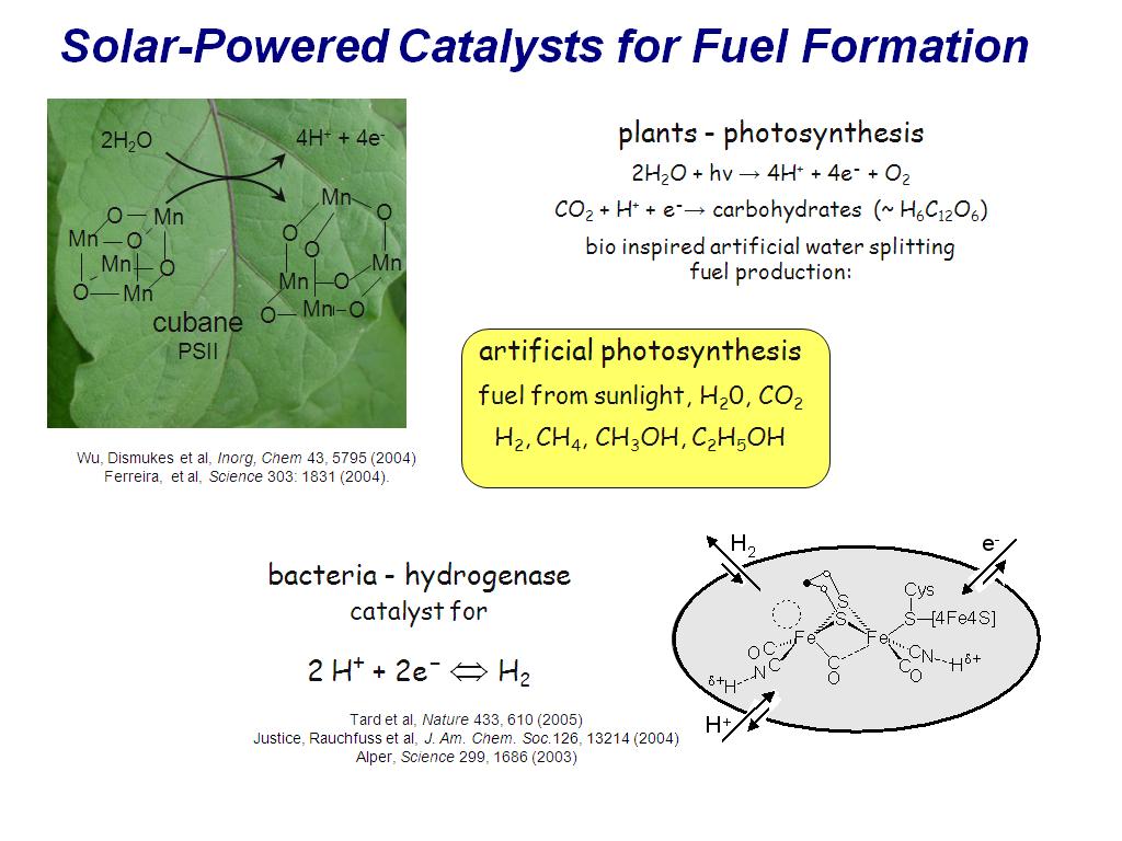 Solar-Powered Catalysis for Fuel Formation